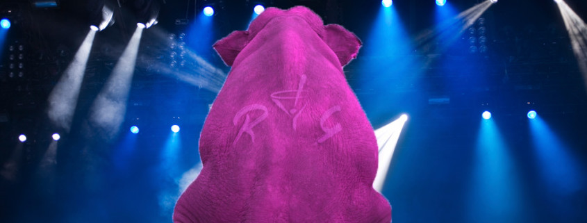 raise-your-glass-pink-tribute-band-pink-elephant